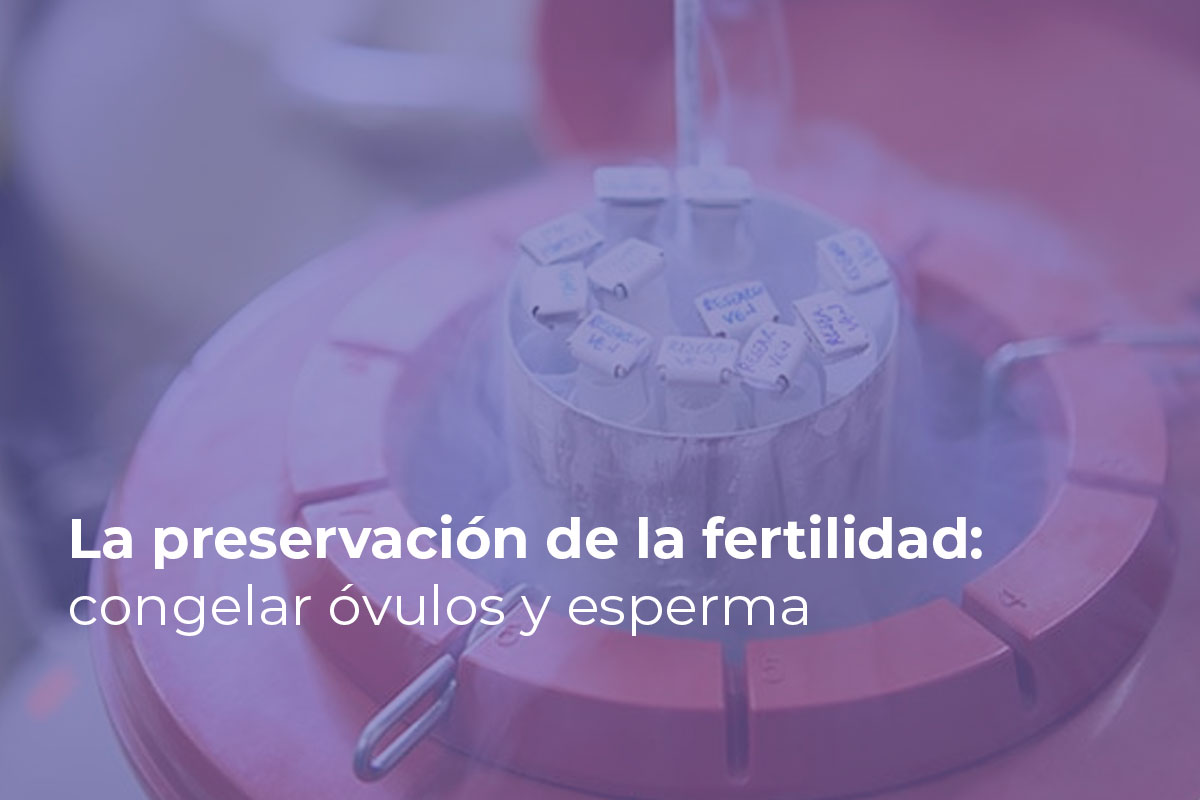 La preservación de la fertilidad: congelar óvulos y esperma ...